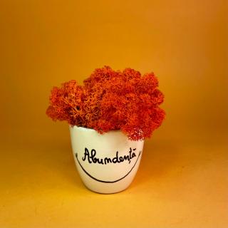 Aranjament Abundenta 9x9cm