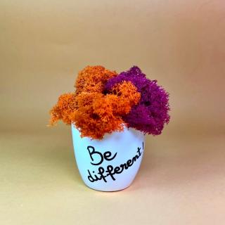 Aranjament Be different 9x9cm