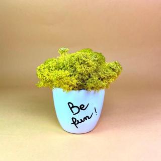 Aranjament Be fun 9x9cm