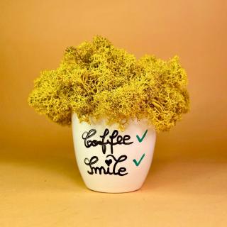 Aranjament Coffee 9x9cm