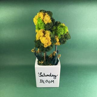 Aranjament Friday-Sunday 26x11cm