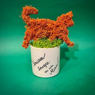 Aranjament Ginger Cat 20X14cm