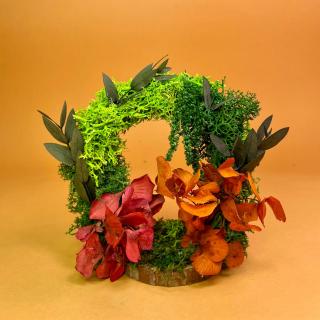 Aranjament Gradina Dream 13X12X6cm