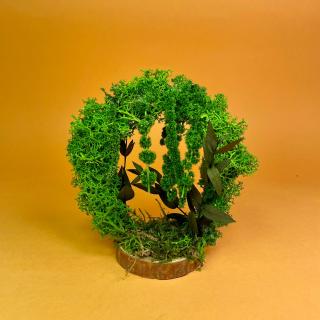 Aranjament Gradina Mystery 13X12X6cm