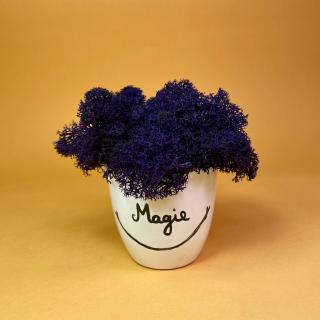 Aranjament Magie 9x9cm