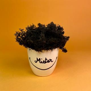 Aranjament Mister 9x9cm