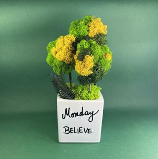 Aranjament Monday-Thursday 26x11cm
