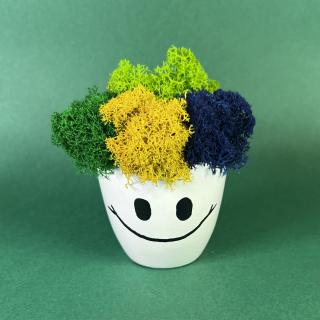 Aranjament Zambaretul colorat personalizabil 9x9cm
