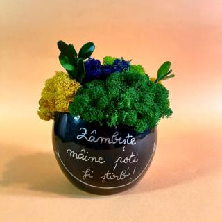 Aranjament Zambaretul stirb 17x13cm