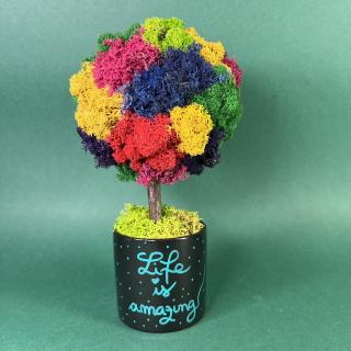 Copacel Amazing life 25x13cm