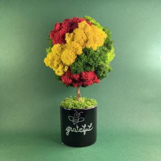 Copacel Be grateful 25x13cm