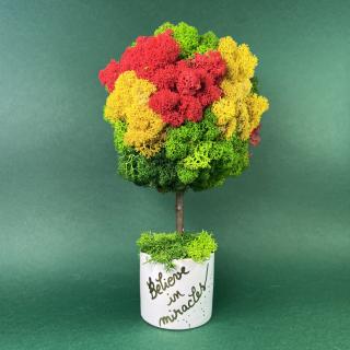 Copacel Believe in miracles 22x12cm
