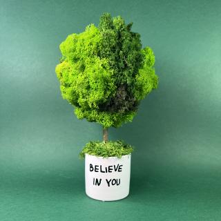 Copacel Believe in you 22x12cm