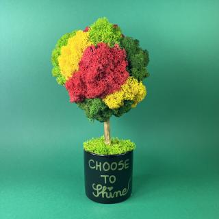 Copacel Choose to shine 25x13cm