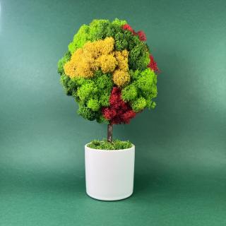 Copacel colorat 25x13cm