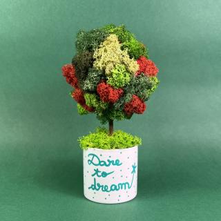 Copacel Dream 22x12cm