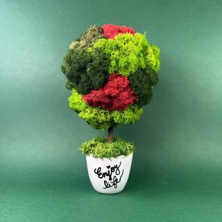 Copacel Enjoy life 21x10cm