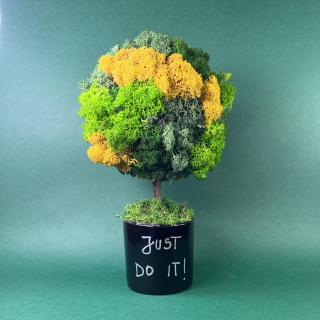 Copacel Just do it 25x13cm