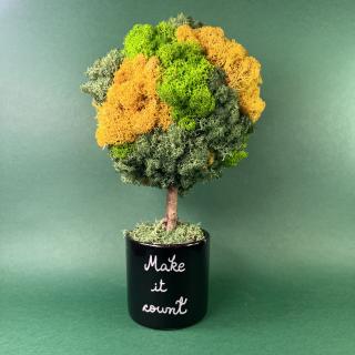 Copacel Make it count 25x13cm