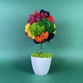 Copacel simpatic 21x8cm