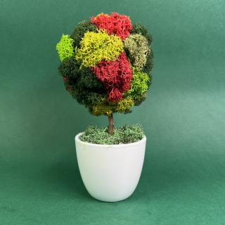 Copacel Simplu 21x9cm