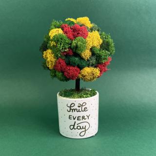 Copacel Smile every day 25x13cm