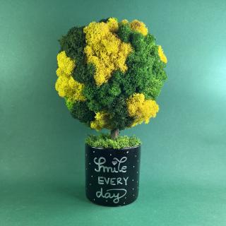 Copacel Smile every day (black) 25x13cm