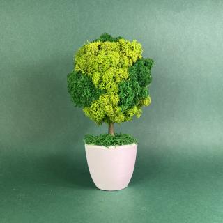 Copacel Verde 21x10cm