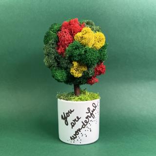 Copacel Wonderful 25x13cm