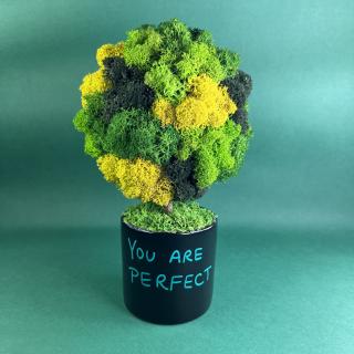 Copacel You are perfect 25x13cm