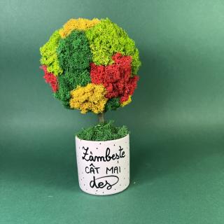 Copacel Zambeste des 25x13cm