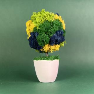 Copacelul Dor 21x10cm