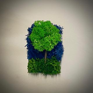 Magnet Copacel 8x5cm