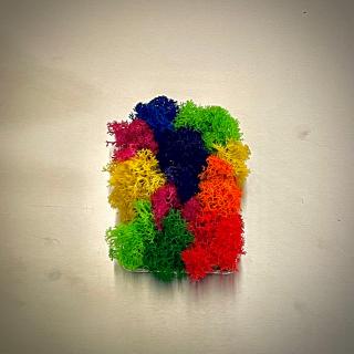 Magnet Culorii Vii 8x5cm