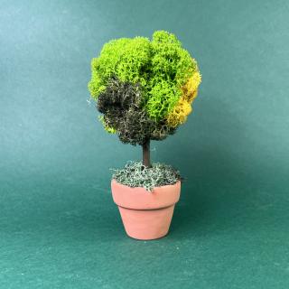 Mini copacel 13x6cm