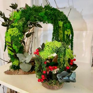 Pachet Gradina Energize 27X25X9cm  Miracle-13X12X6cm