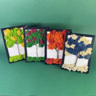 Set tablouri Anotimpurile 13x18cm