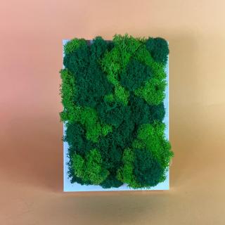 Tablou Coltisor verde 10x15cm