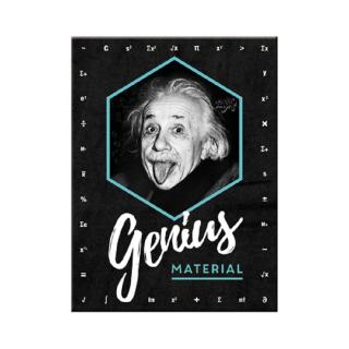 Magnet 6x8 cm Einstein - Genius - Einstein Geniu