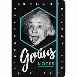 Notebook Einstein - Genius Notes - Notite de geniu