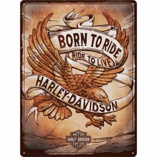 Placa 30x40 Harley Davidson - Born to Ride Eagle - Nascut Pentru drum