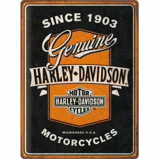 Placa decor 30x40 Harley Davidson Motociclete Autentice