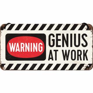 Placa metalica cu snur 10x20 Genius at work - Geniu la Munca