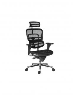 Scaun birou mesh Ergohuman negru