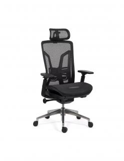 Scaun ergonomic multifunctional SYYT 9506