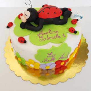 Tort Buburuza la soare