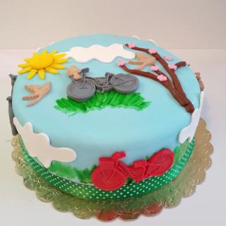 Tort cu motocicleta 2D