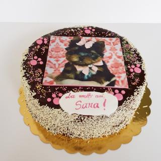 Tort cu poza Catel Bichon