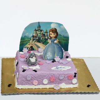 Tort cu Sofia 2D si castel