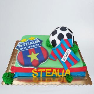 Tort cu Steaua, minge si tricou